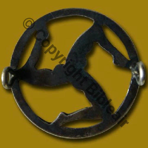 002  1920.33 A1447NH SAL.2 9eDRILLE 37eRAO... METAL RELIEF  SM 2Anneaux Dos lisse irreg Src.collect privee via A.DENIS 